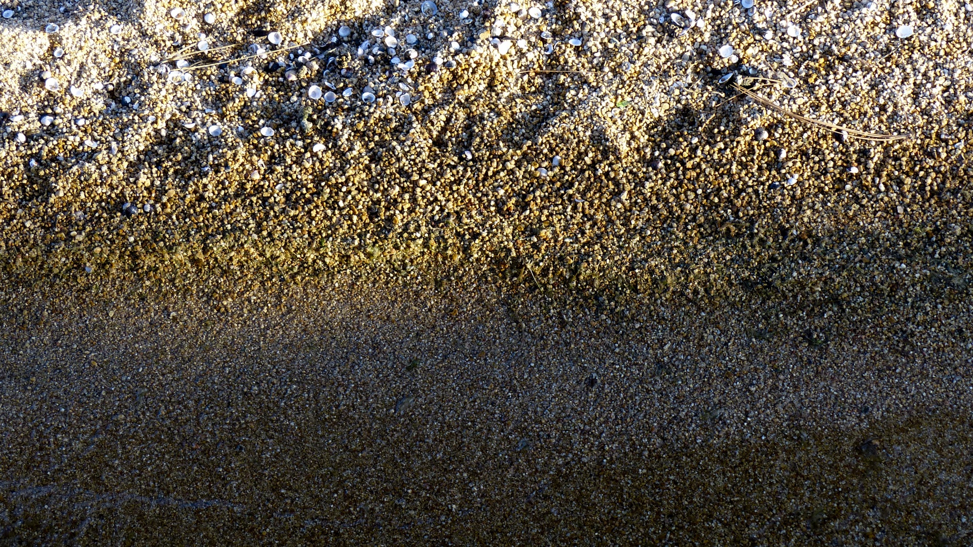 sand texture layers free photo