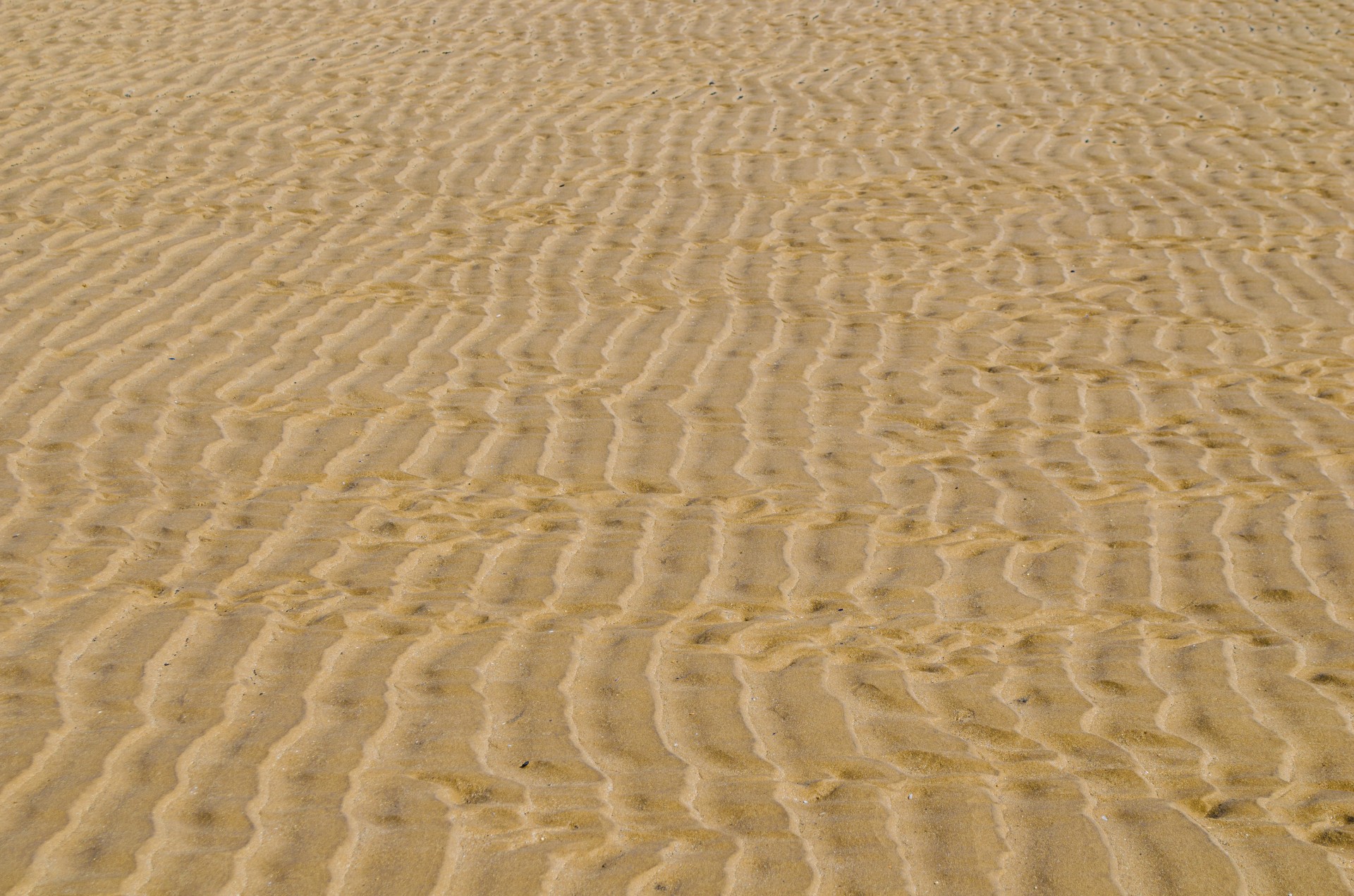 sand beach background free photo