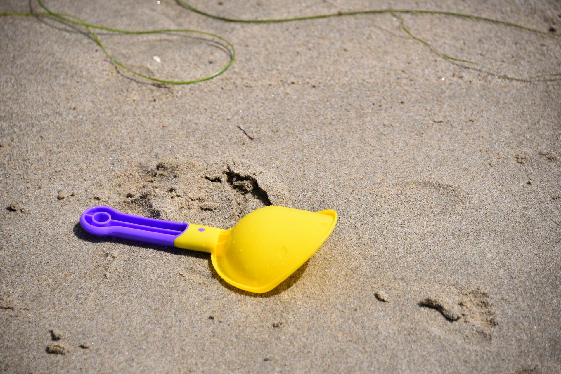 sand shovel beach free photo