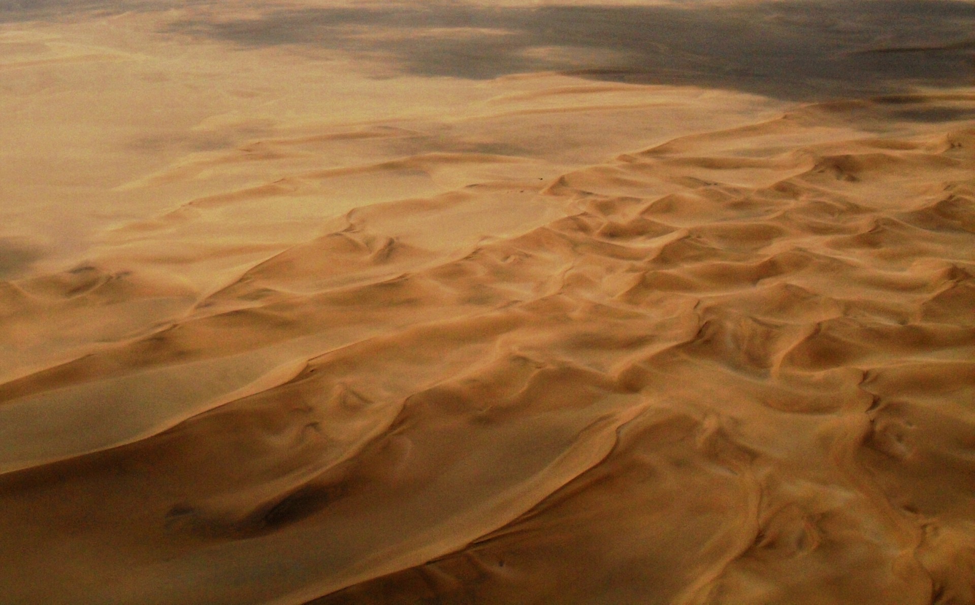 sand desert gold free photo