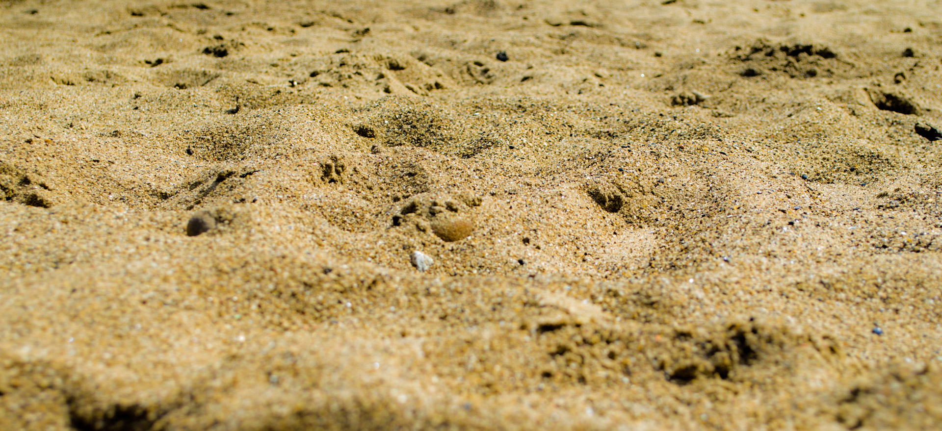 sand beach surface free photo