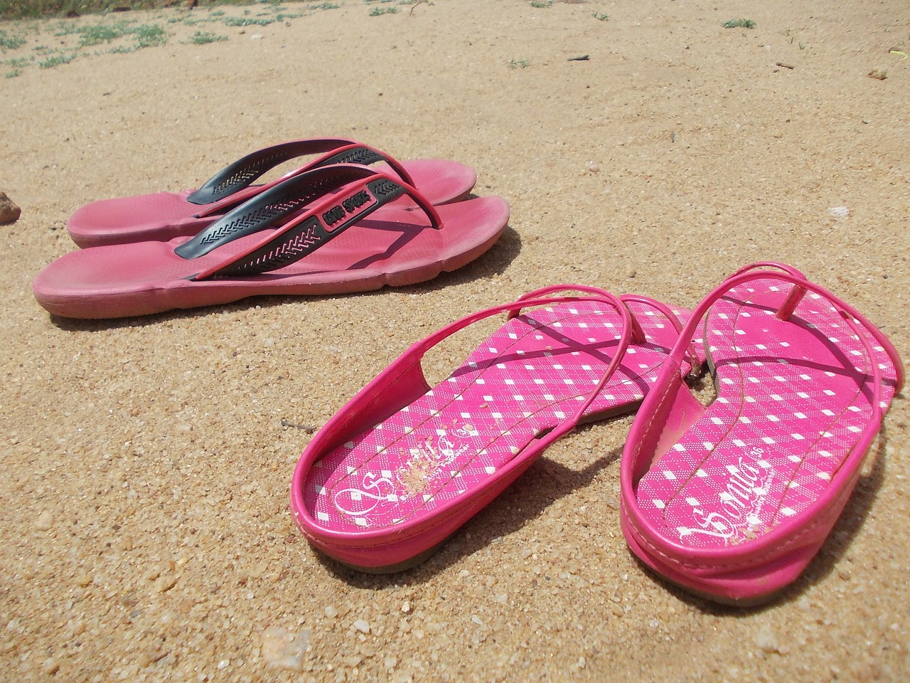 sandals flip flops flip-flops free photo
