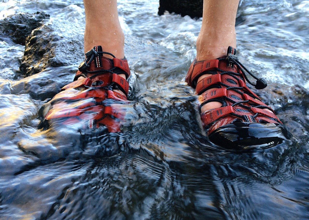 sandals person nature free photo