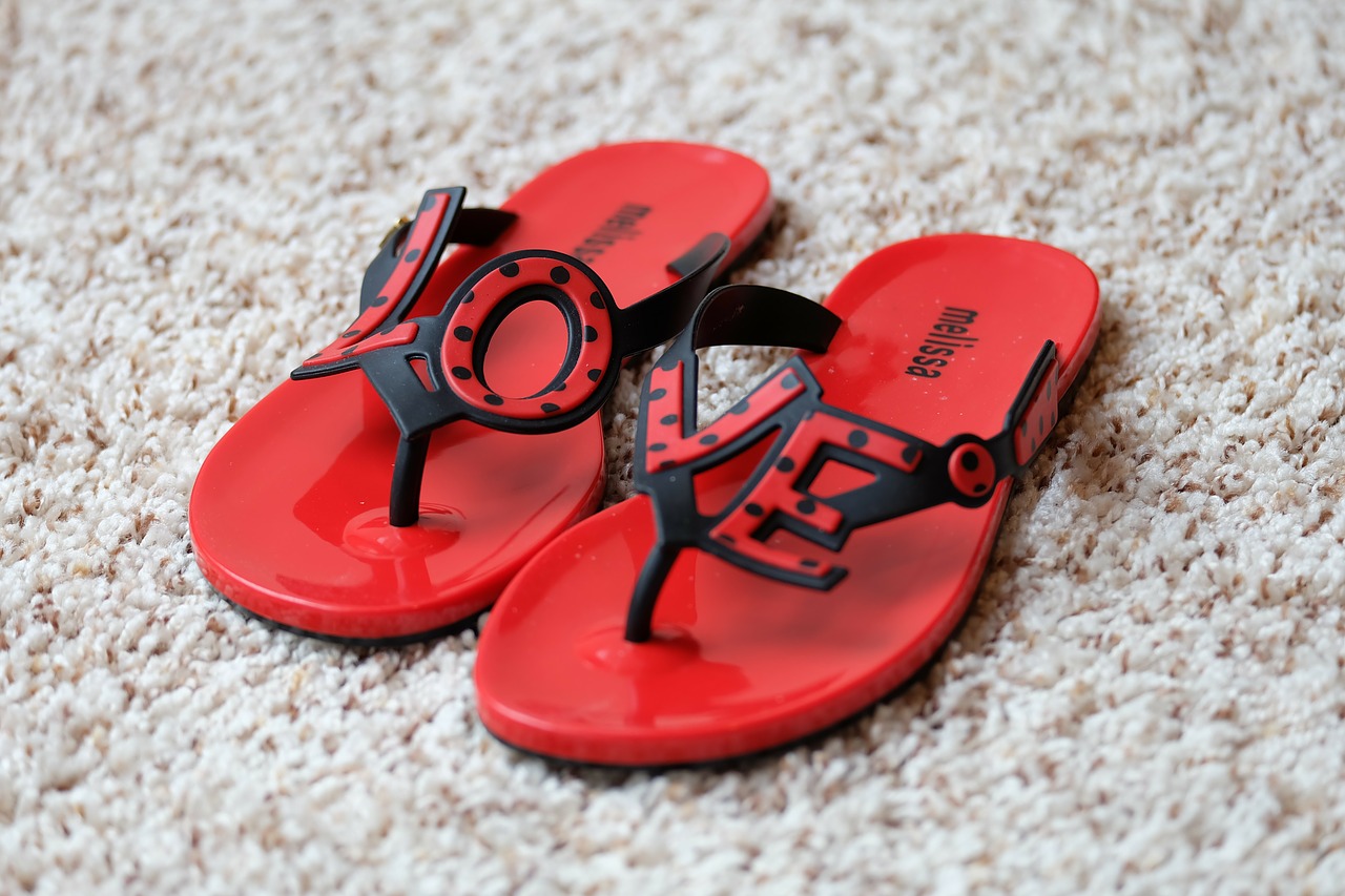 sandals flip flops footwear free photo