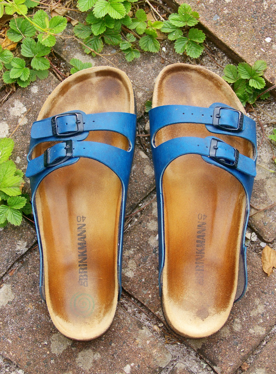 sandals  strap shoe  footwear free photo