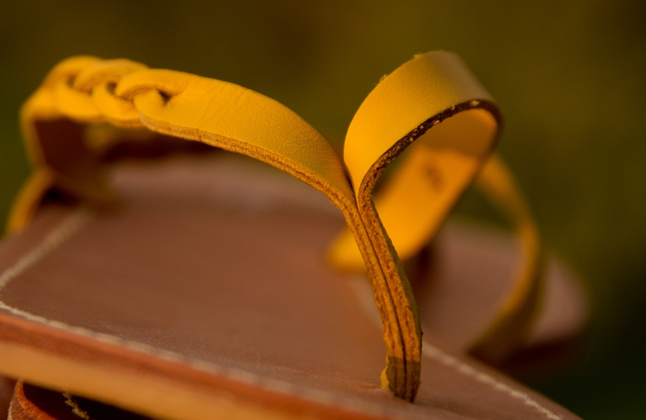 sandals shoes flip-flop free photo
