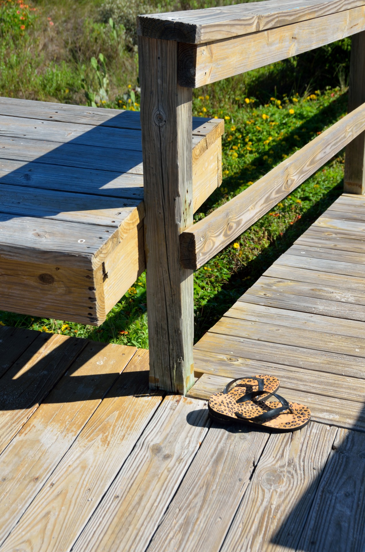 beach walkway florida free photo