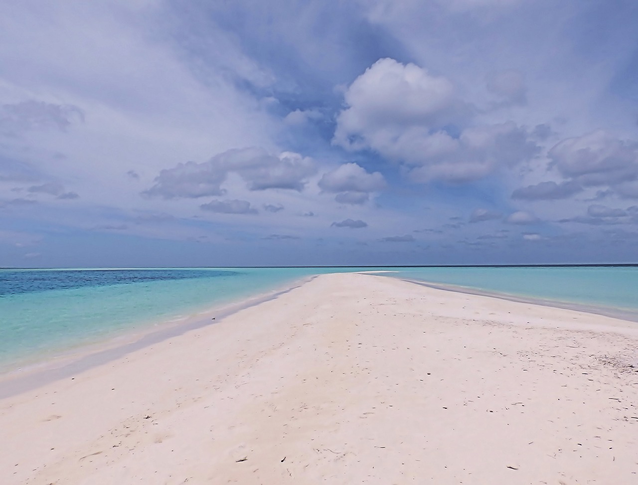 sandbank  beach  sand free photo