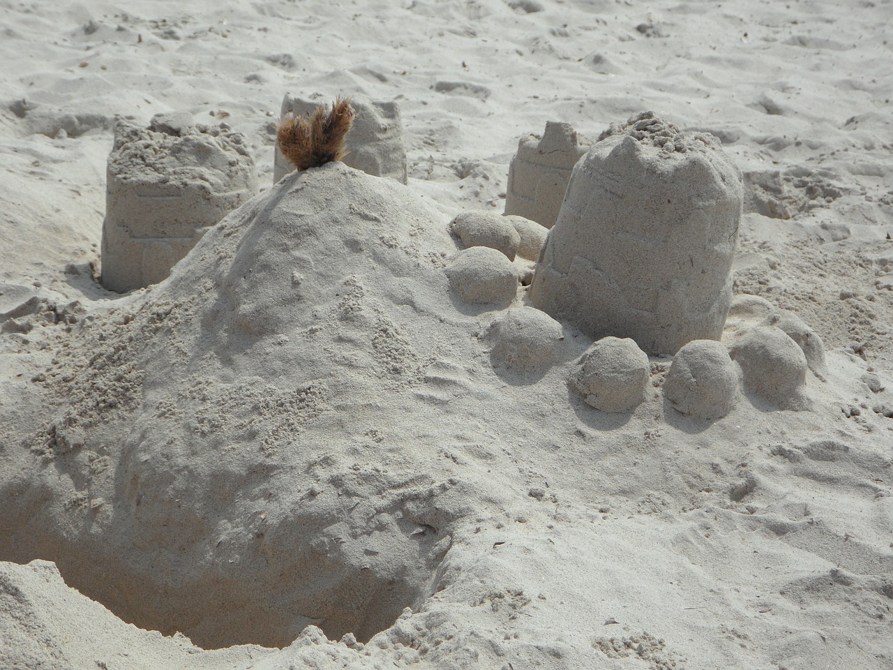sandburg sand by the sea free photo