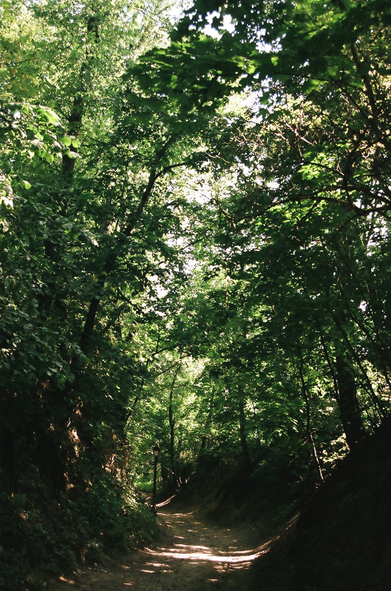 sandomierz gorge poland free photo