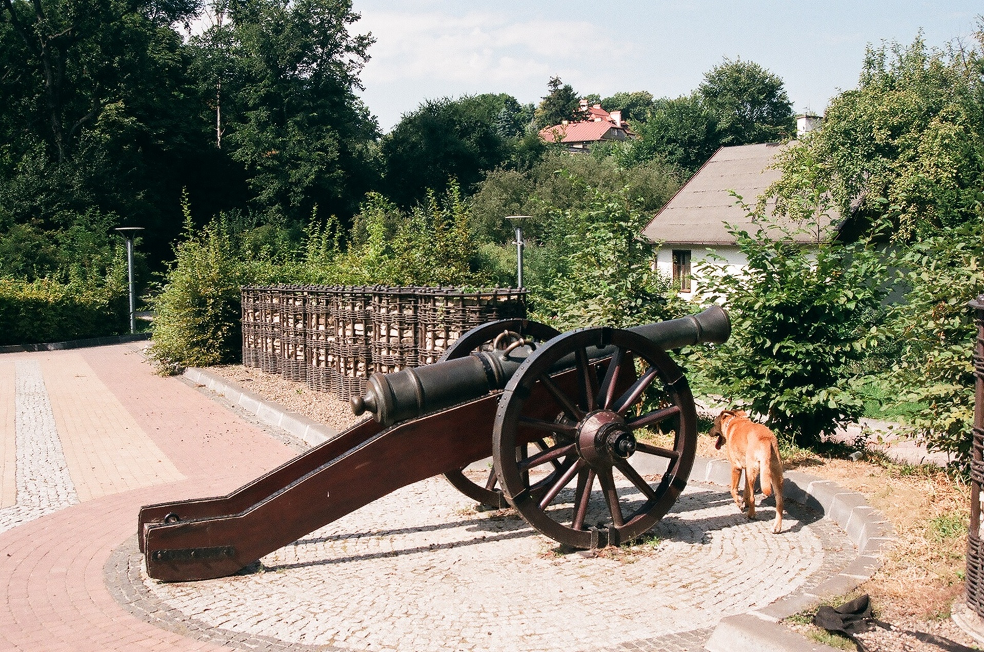 sandomierz monument poland free photo