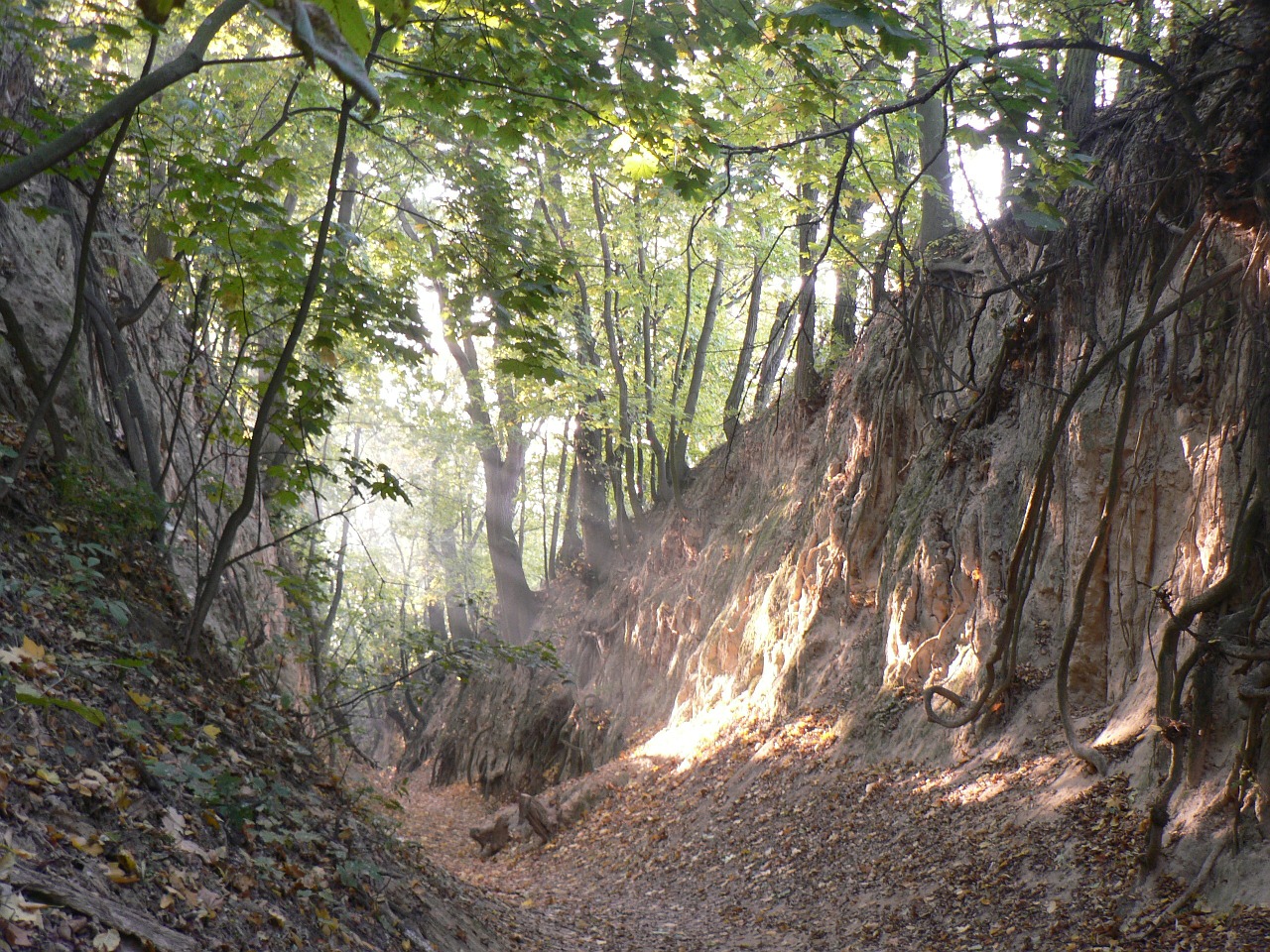 sandomierz st gorge jadwigi free photo