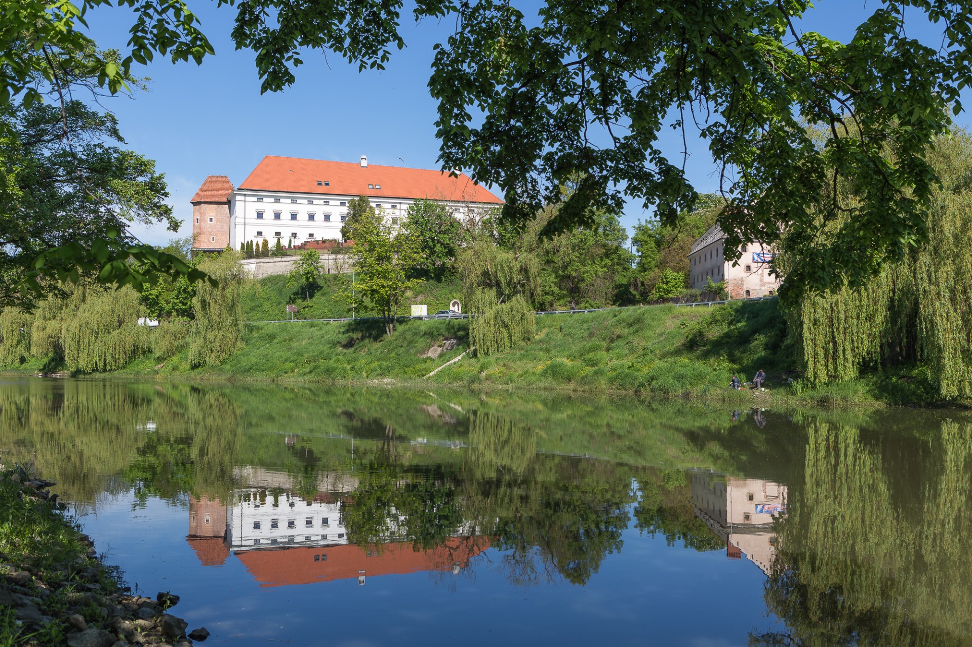 sandomierz castle old free photo