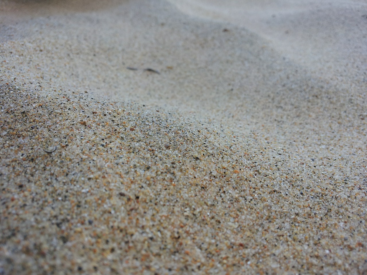 sands beach shore free photo