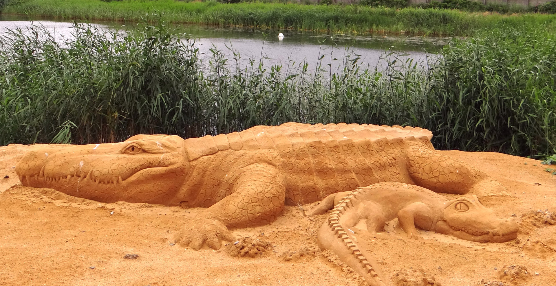 sand sculpture alligator sand sculpture free photo