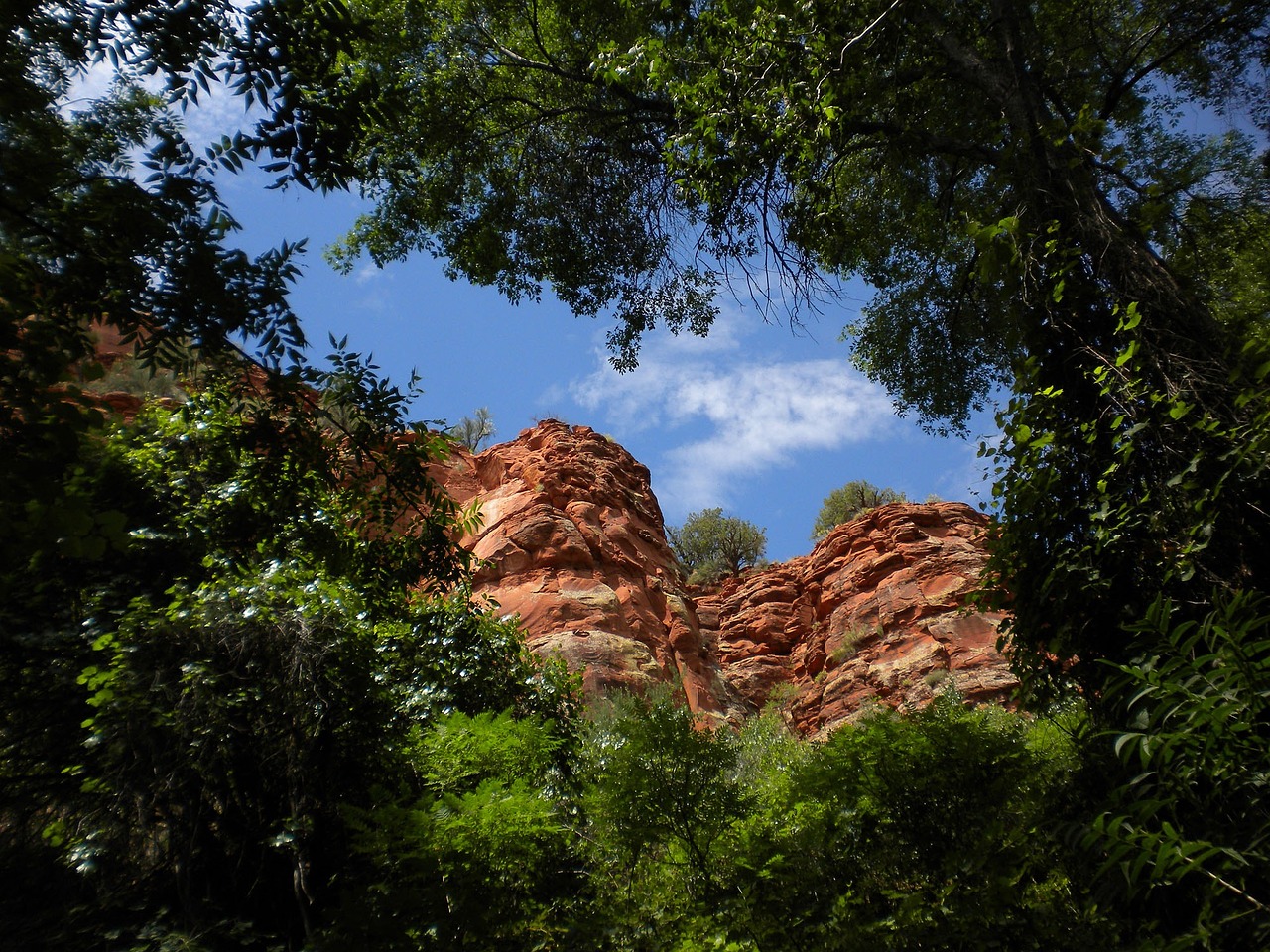 sandstone rock frmations red free photo