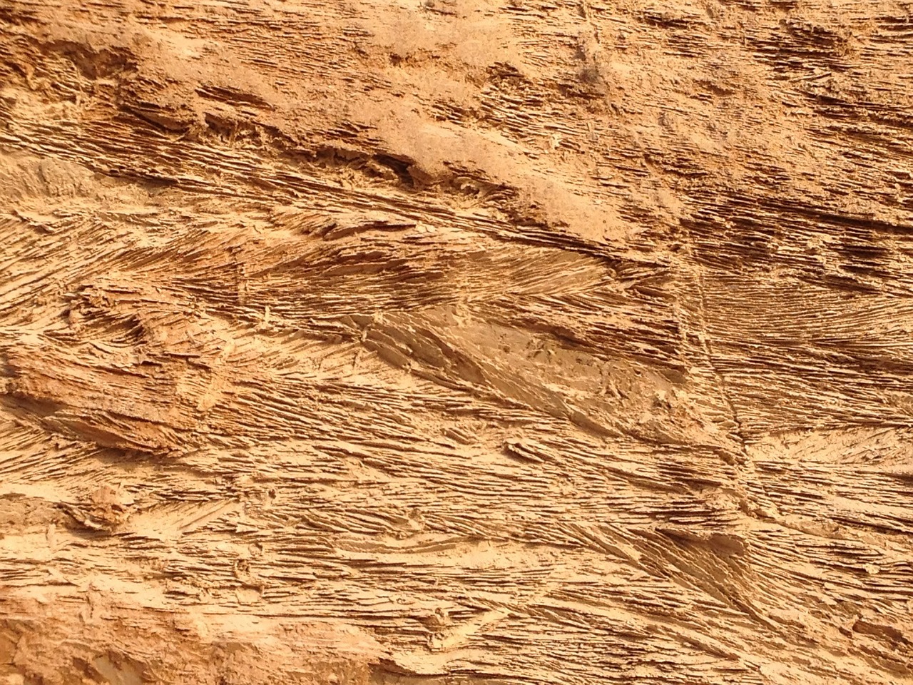 sandstone rock cliff free photo