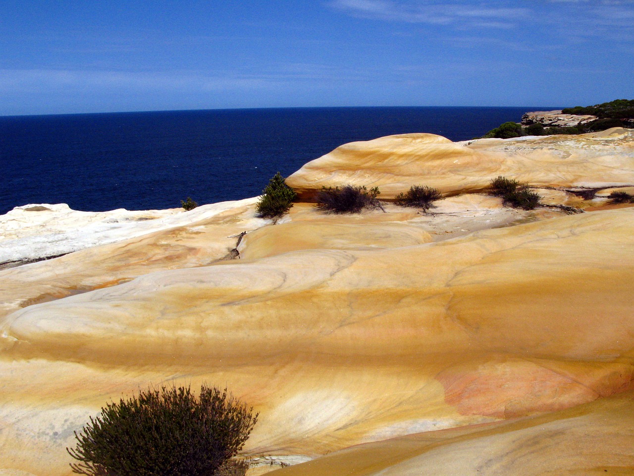 sandstone ocean sydney free photo