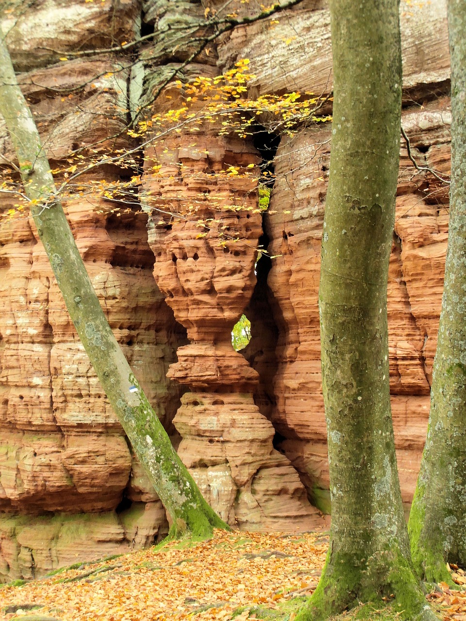 sandstone rocks sand stone erosion free photo