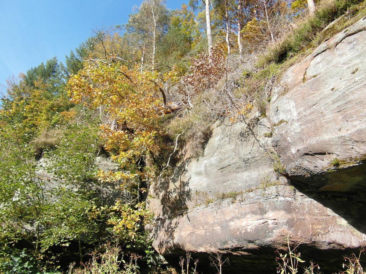 sandstone rocks sand stone forest free photo