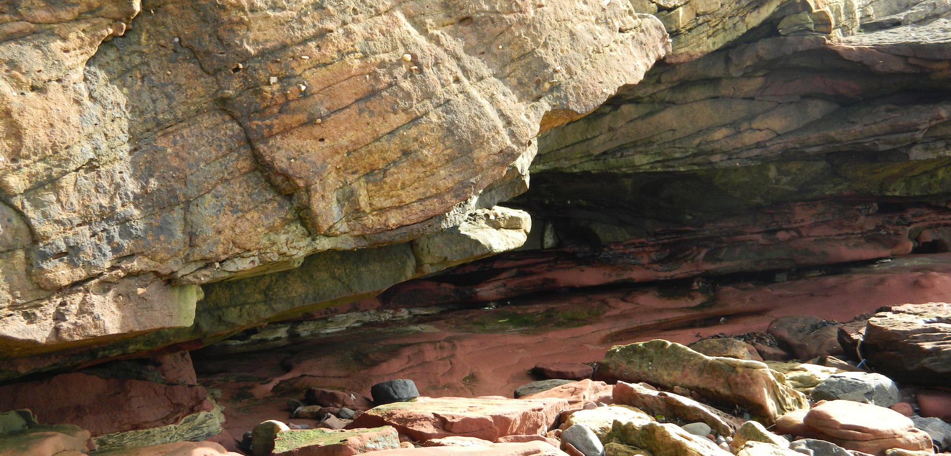 beach sandstone rock free photo