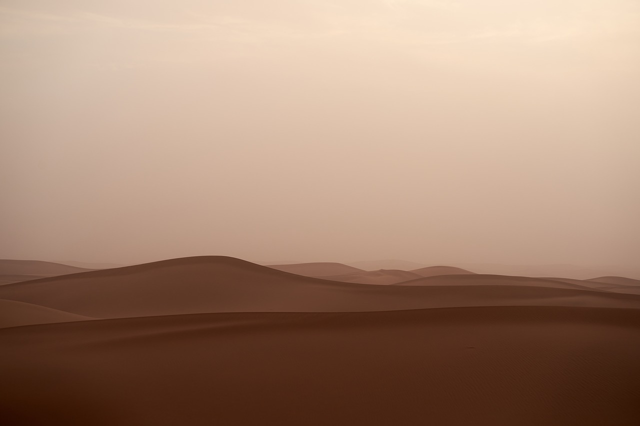 sandstorm  trueb  desert free photo