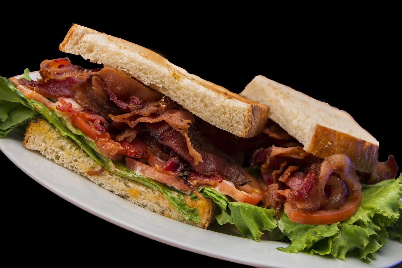 sandwich food healthy free photo