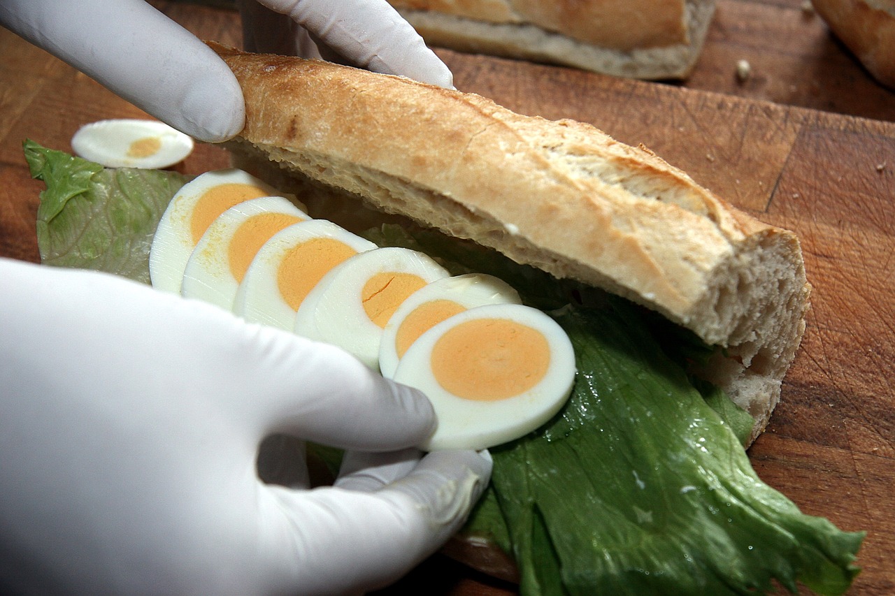 sandwich food eggs free photo