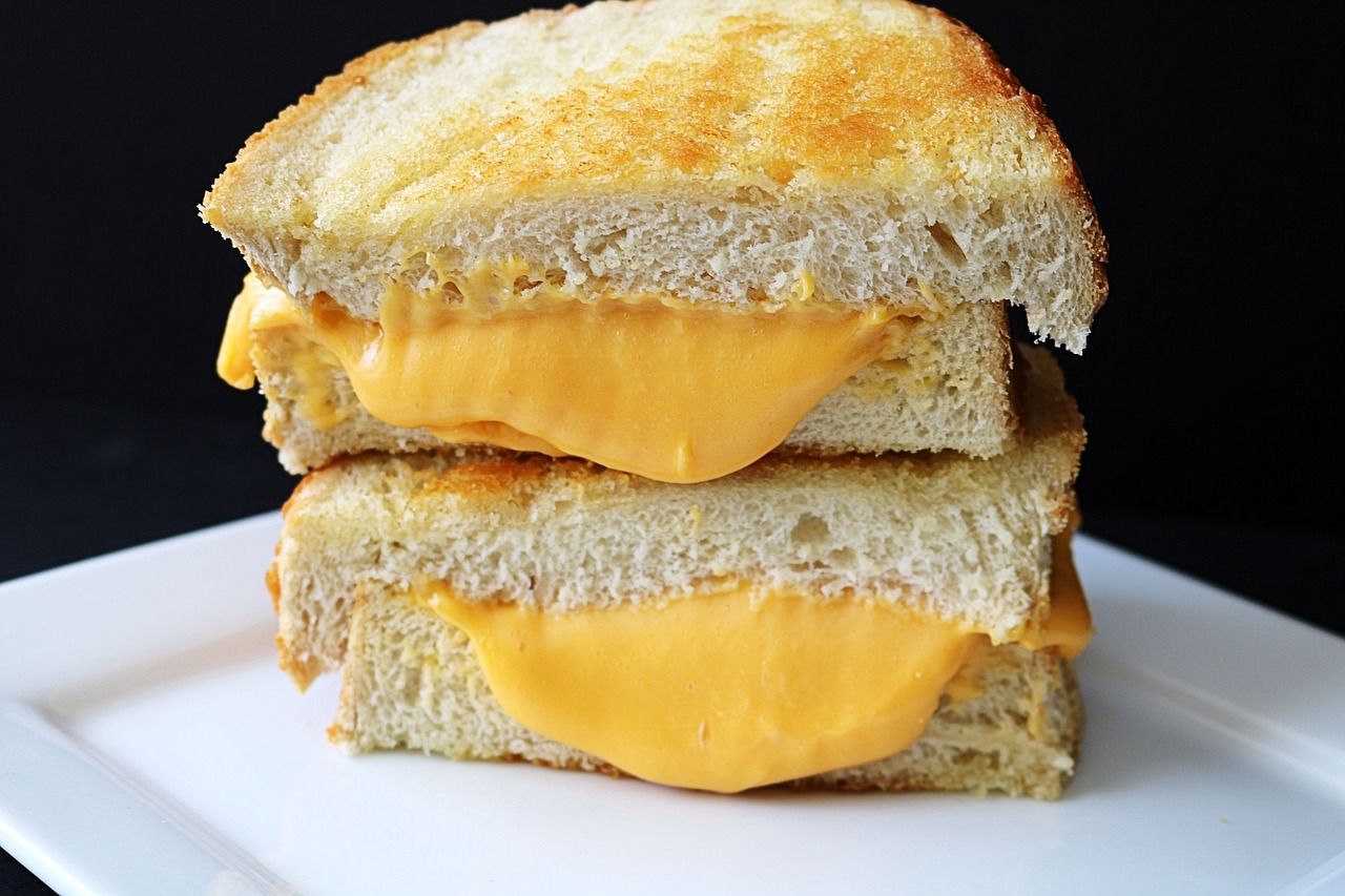sandwich grilled cheese sour dough free photo