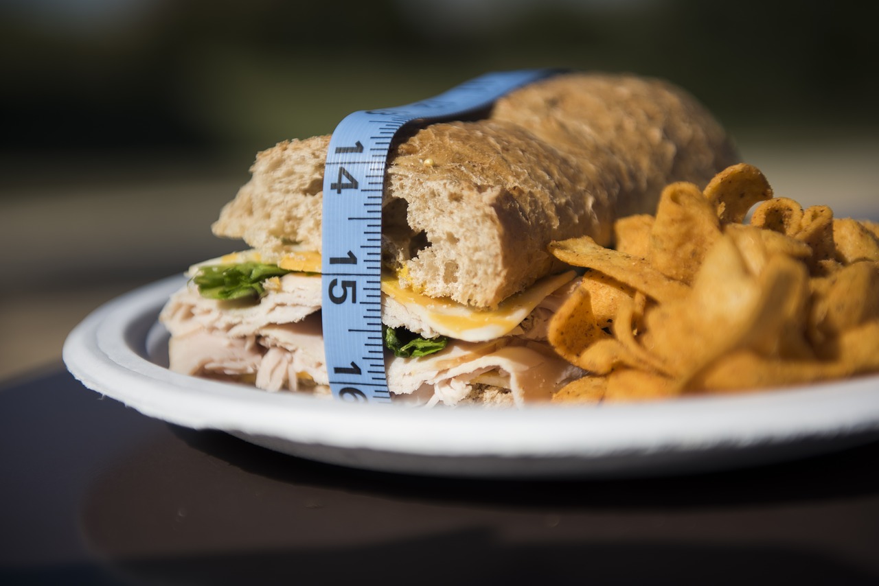 sandwich measure chips free photo