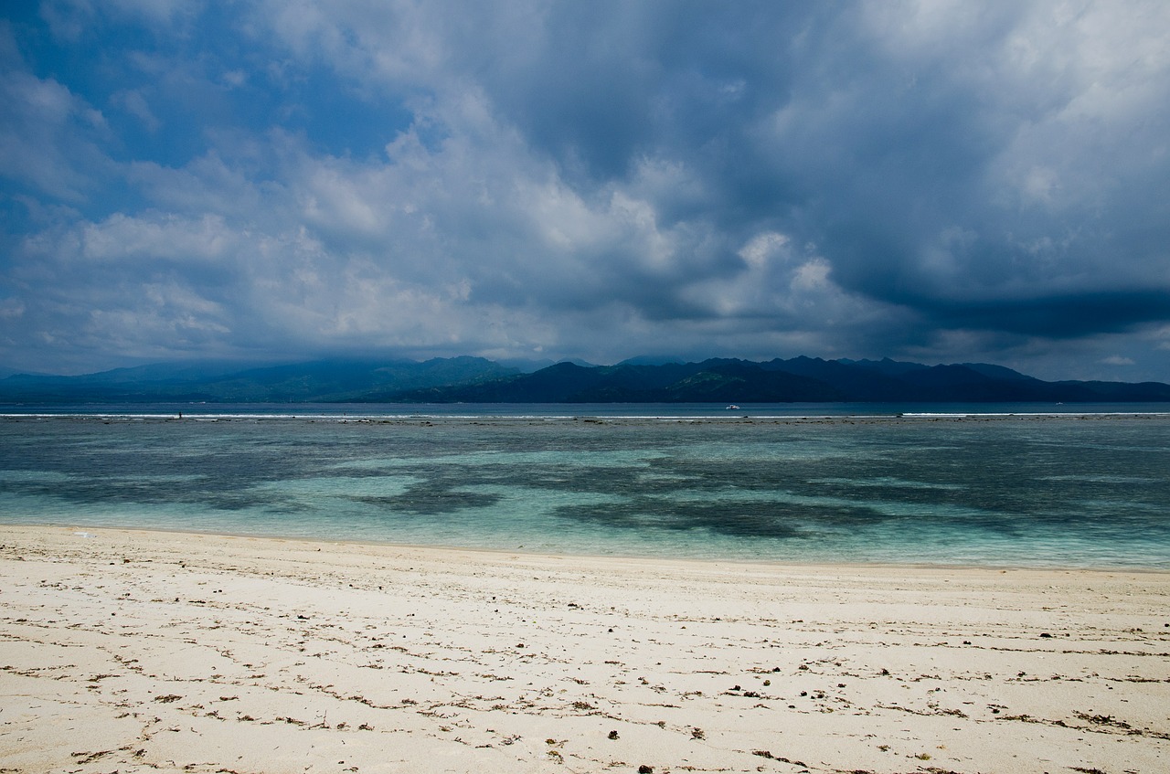 sandy beach seaside shore free photo