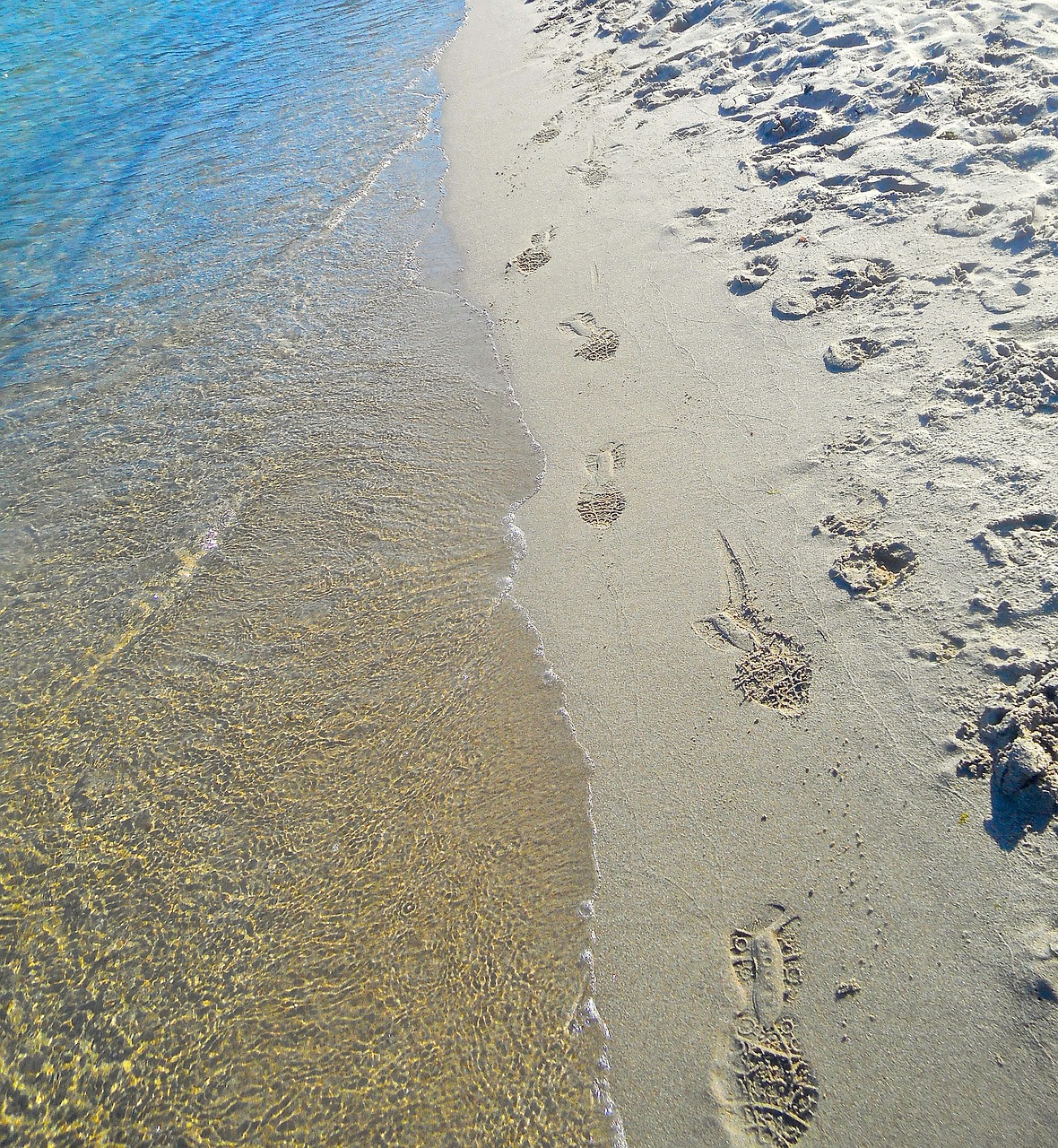 sandy beach footprint water free photo