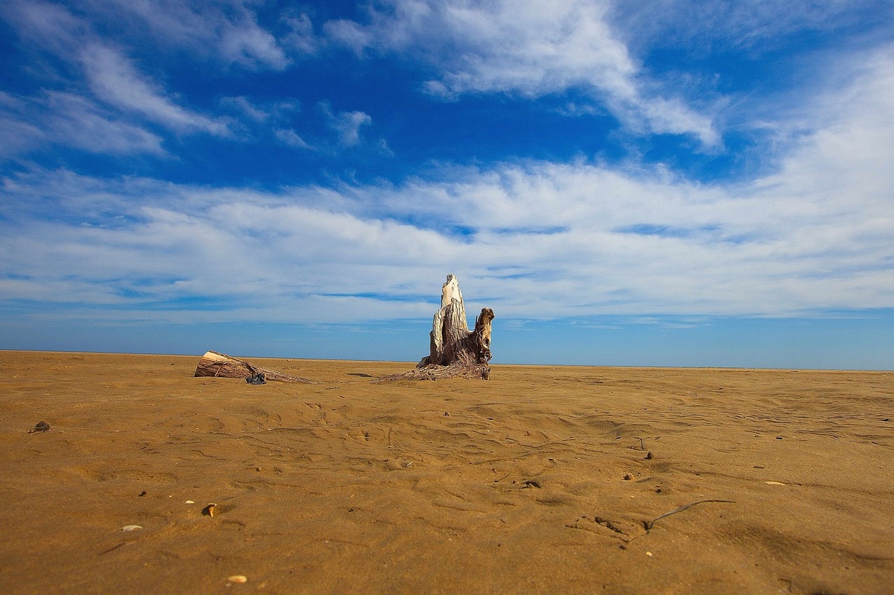 sandy beach summer holiday free photo