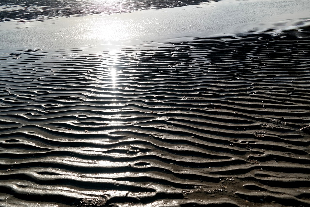 sandy beach dunes by the sea north sea free photo