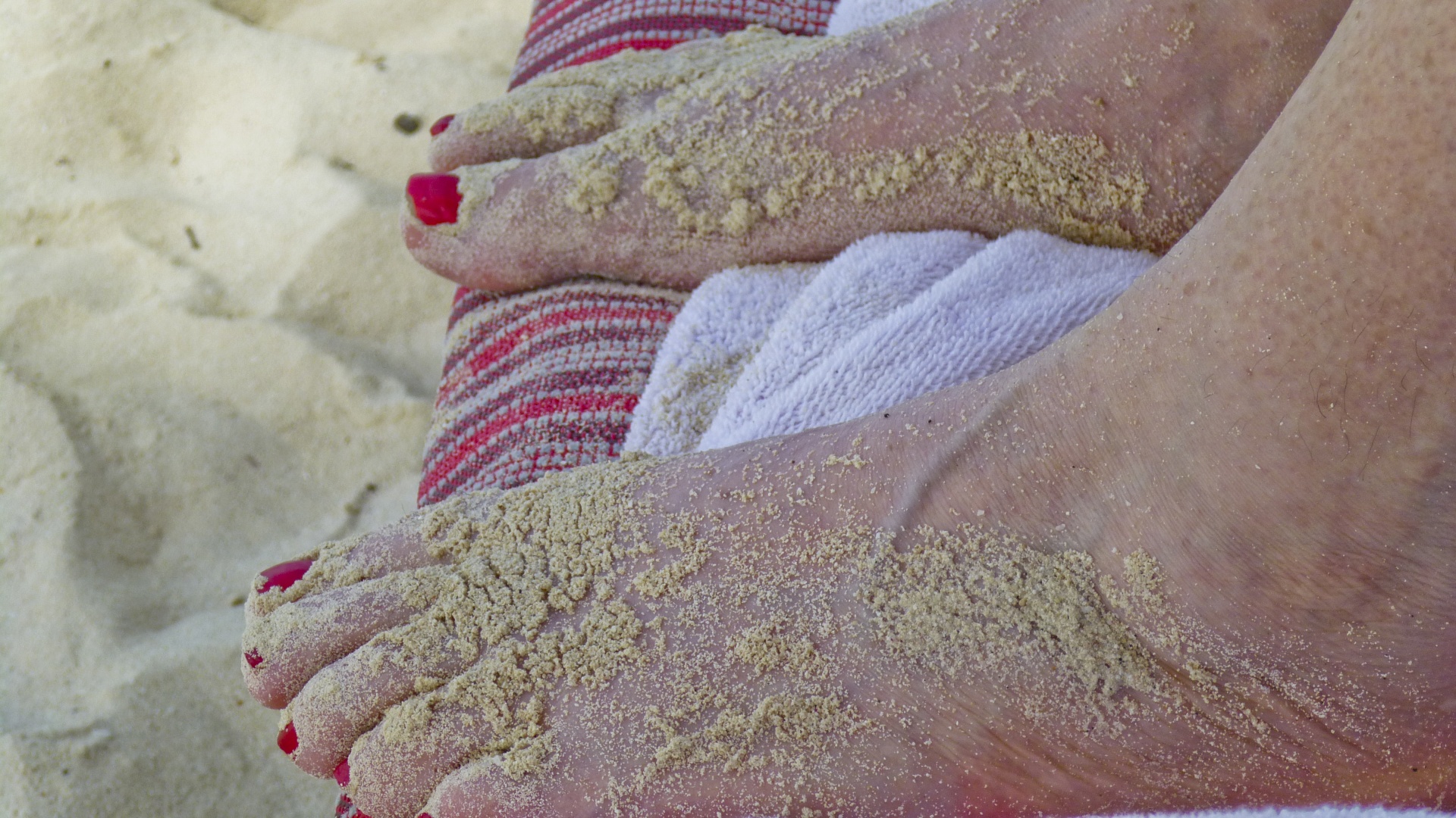 beach-goer feet sand free photo