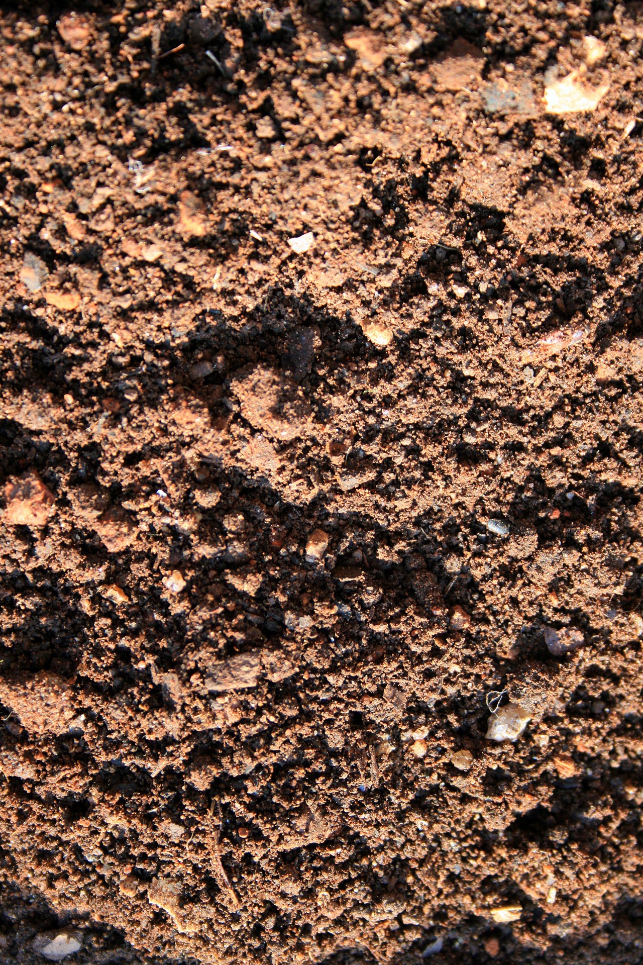 soil ground grains free photo