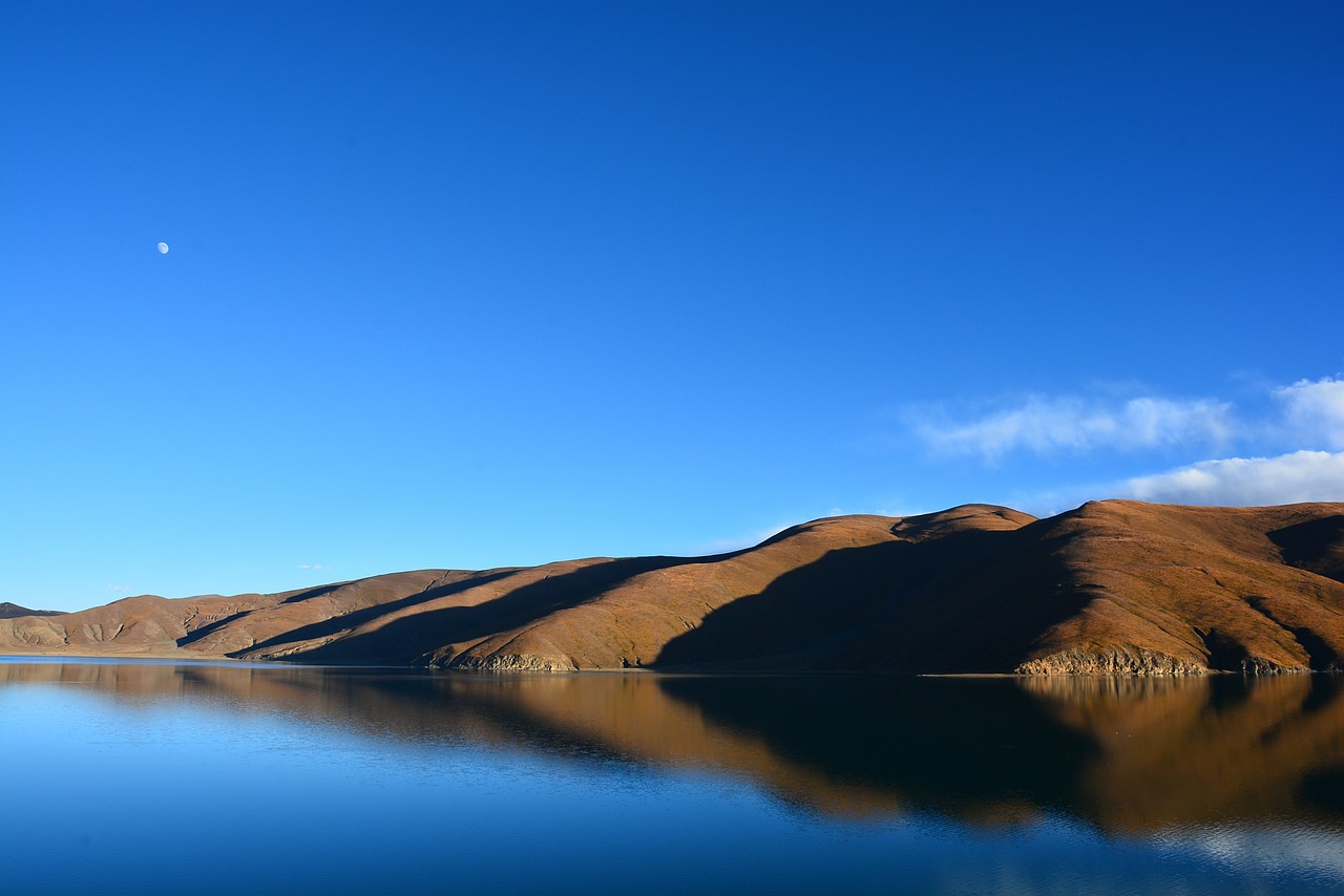 sang sang wetlands lake the scenery free photo