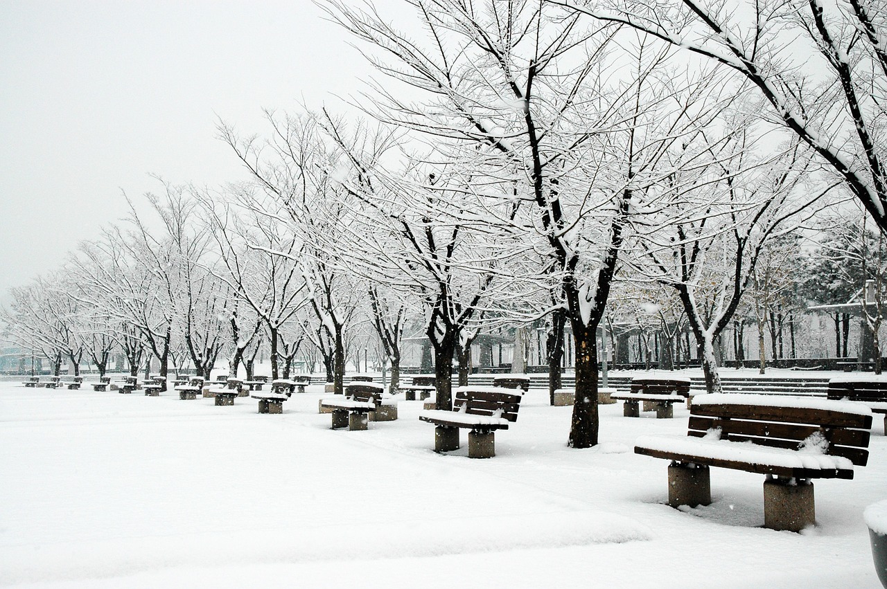 sangam world cup park snow sangam free photo