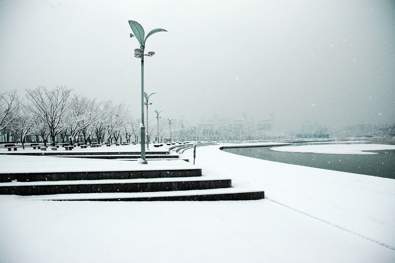 sangam world cup park snow sangam free photo