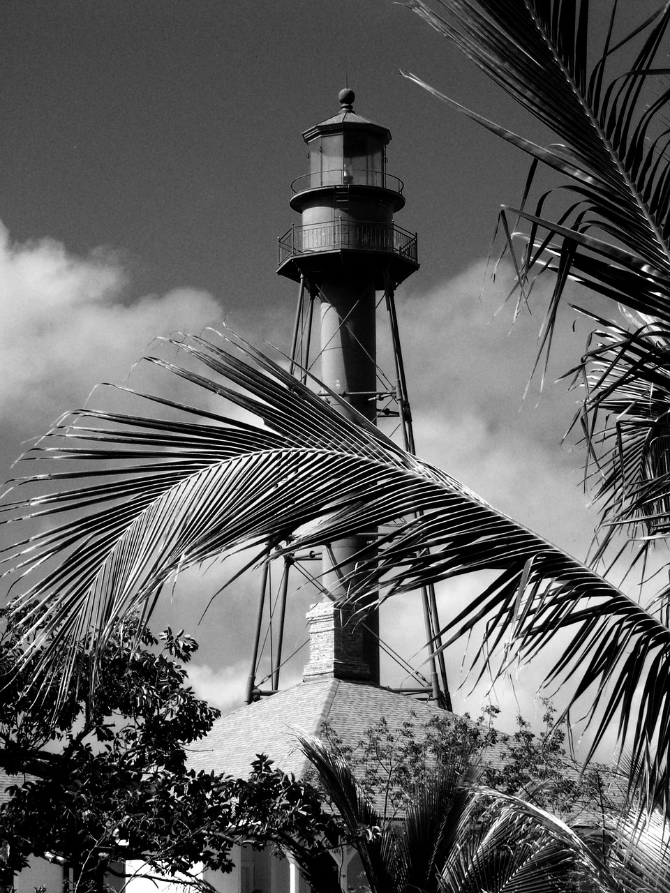 sanibel lighthouse palm free photo