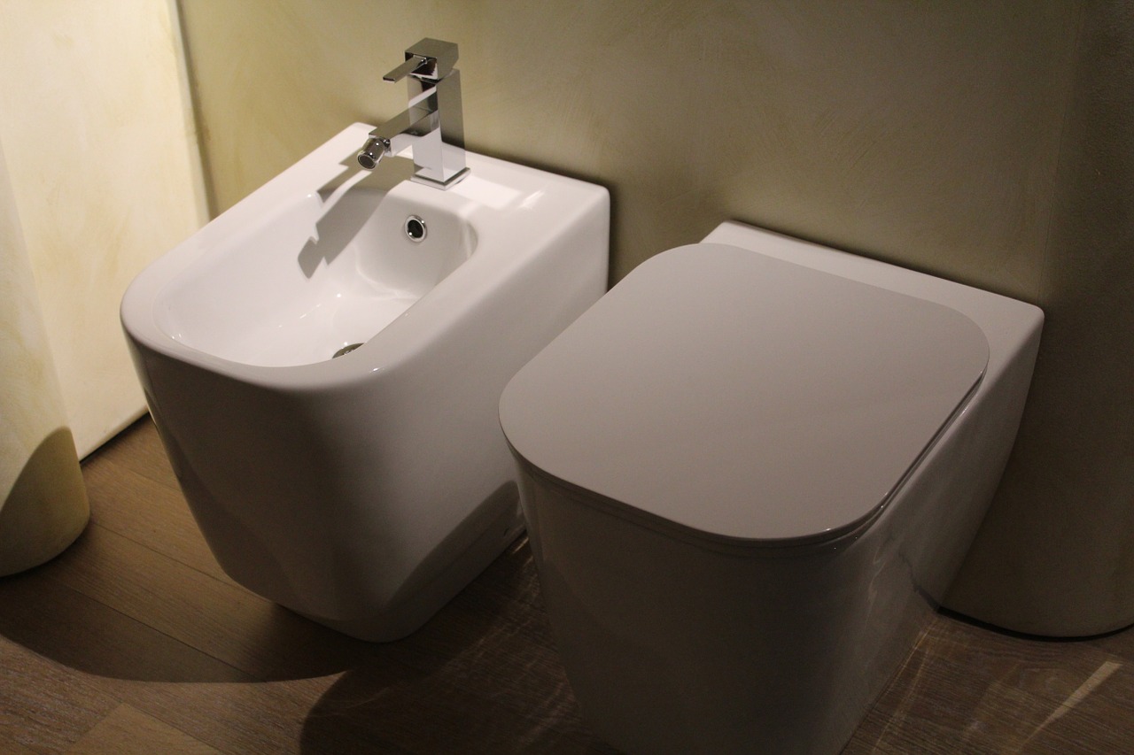 sanitary fittings wc bidet free photo