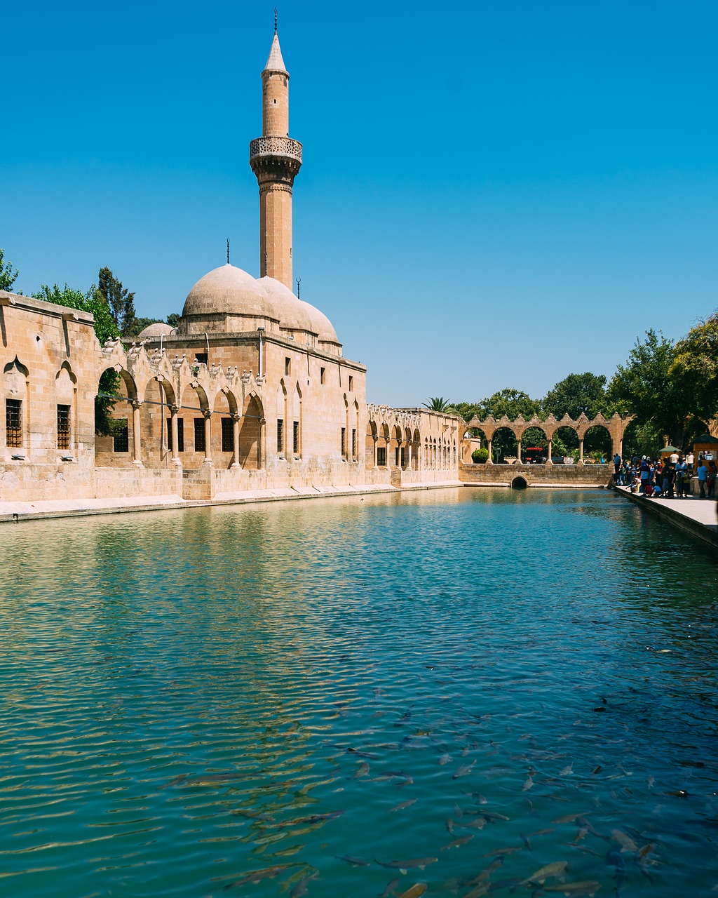 sanliurfa urfa balikligöl free photo