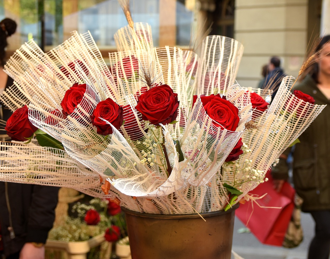 sant jordi  barcelona  roses free photo
