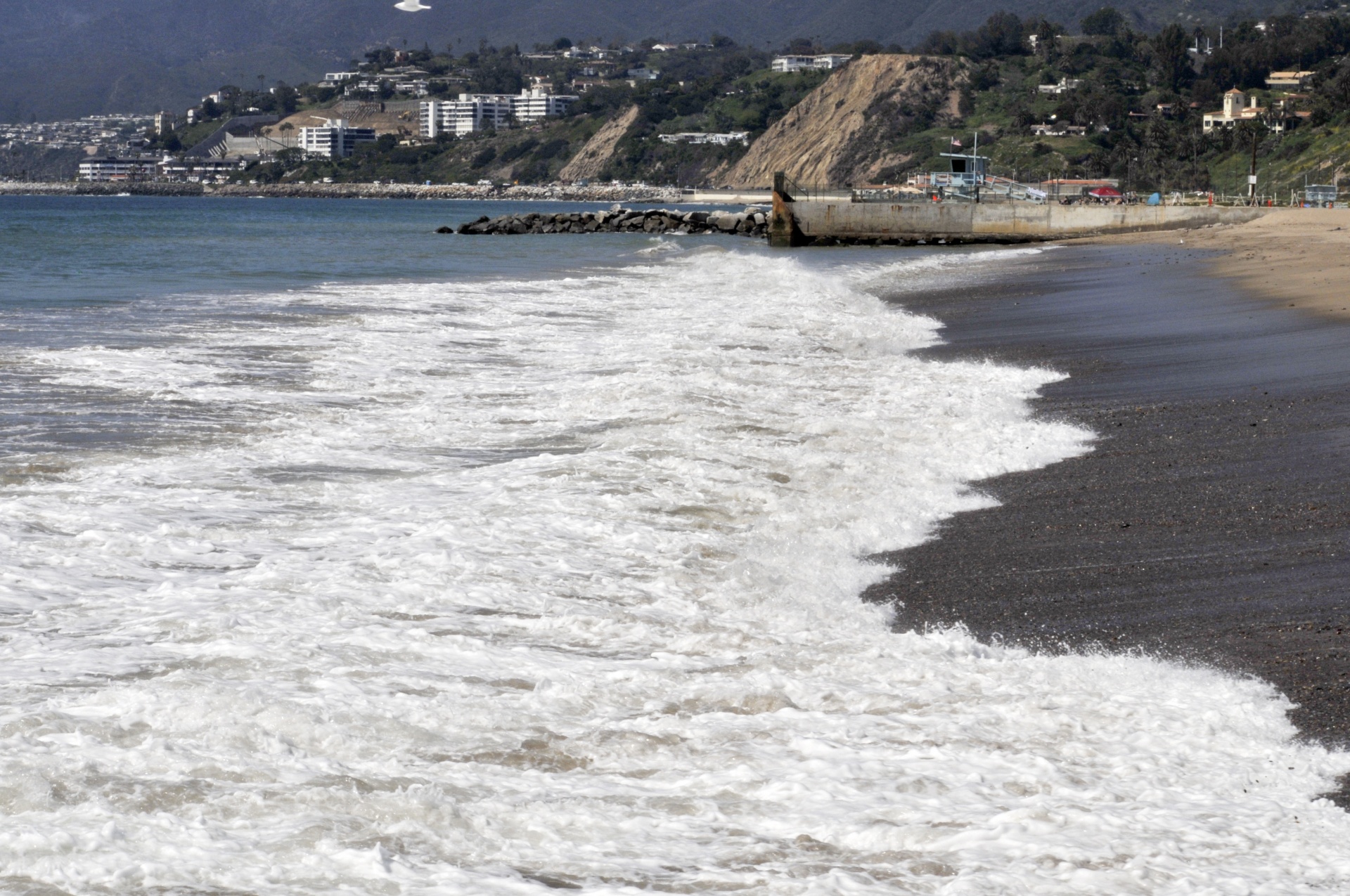 santa monica california beach free photo