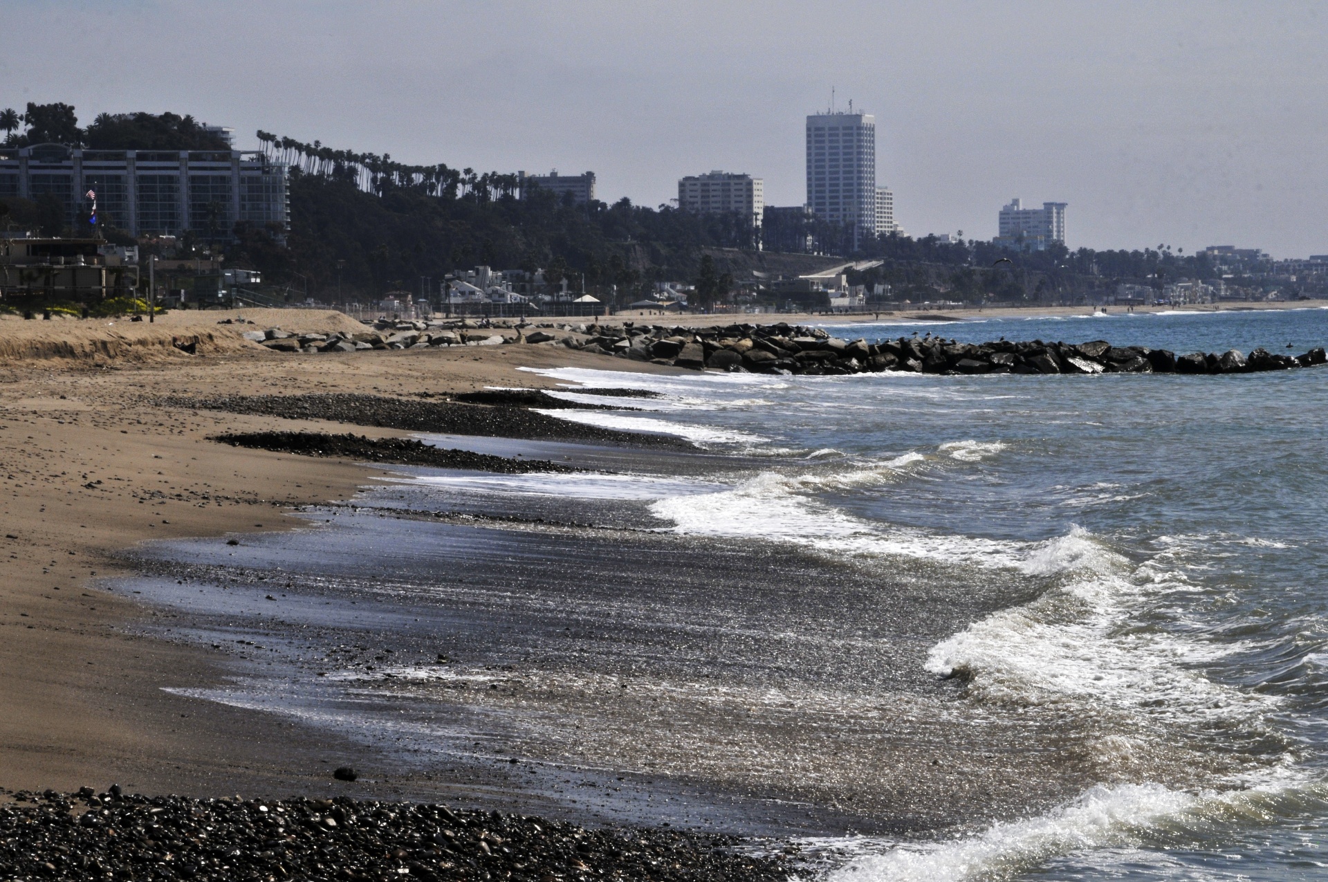 santa monica california beach free photo