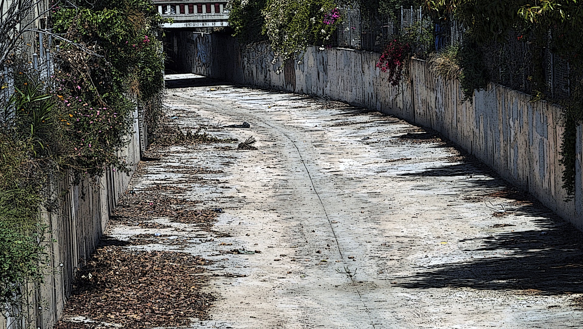 drought california santa monica free photo