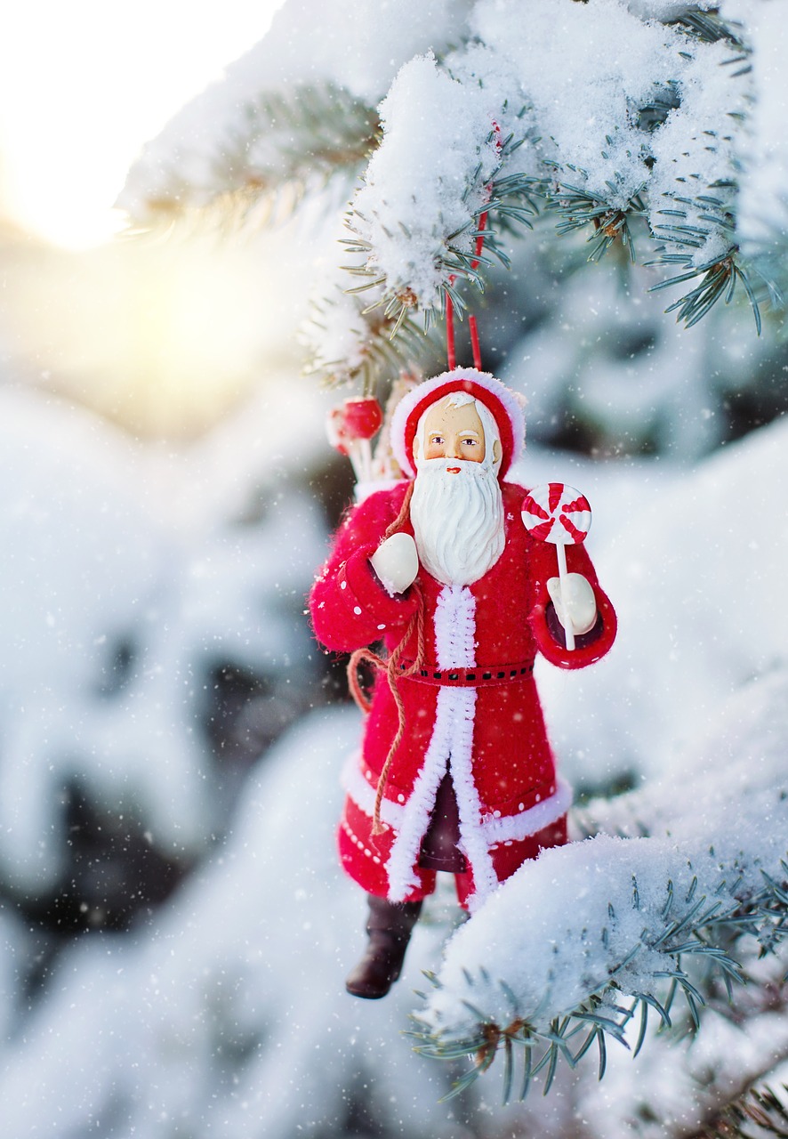 santa ornament snowy tree snow free photo