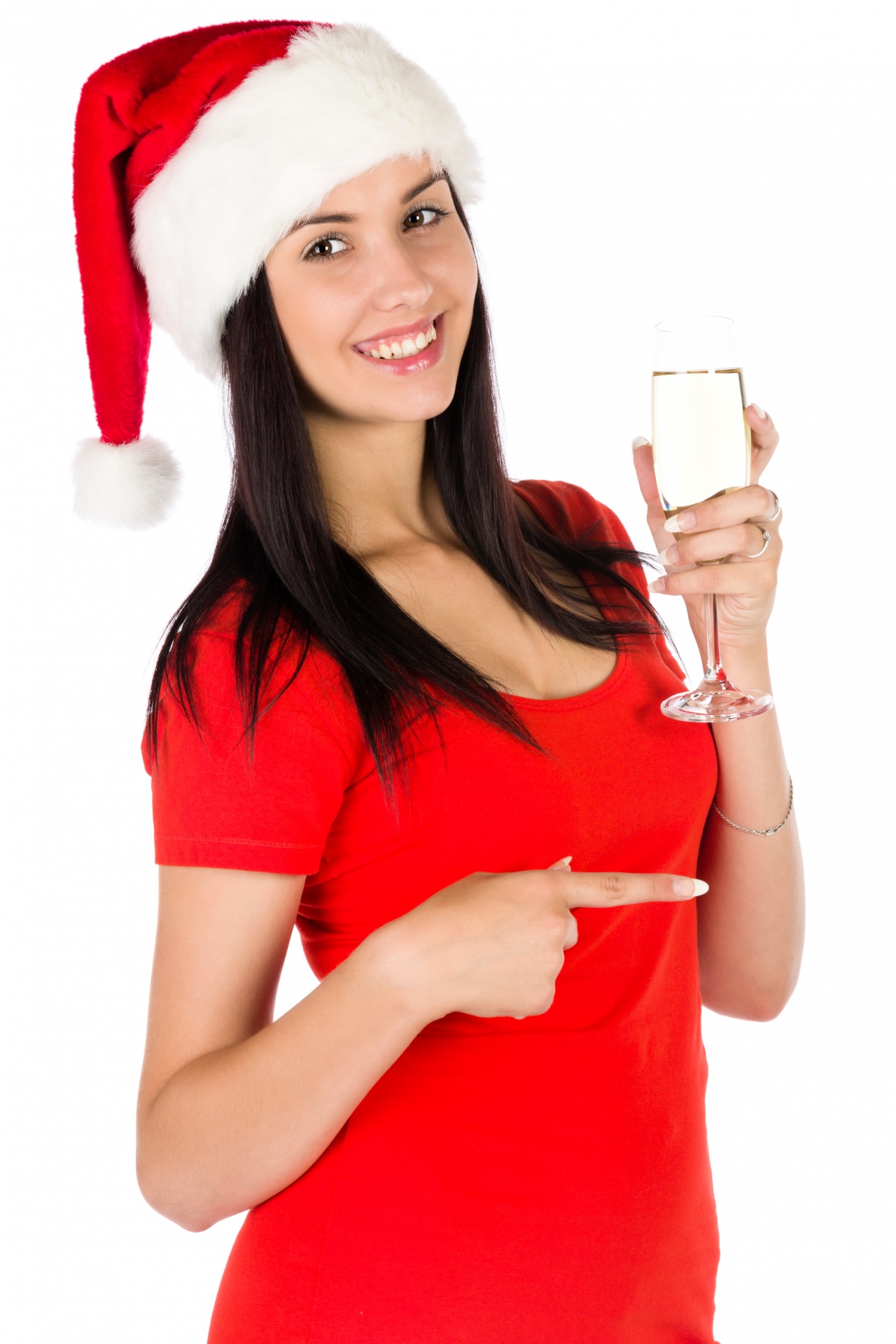 champagne christmas darina copakova free photo