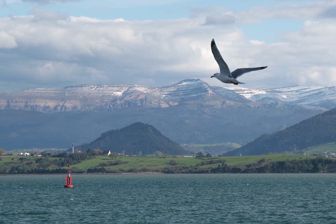 santander  water  nature free photo