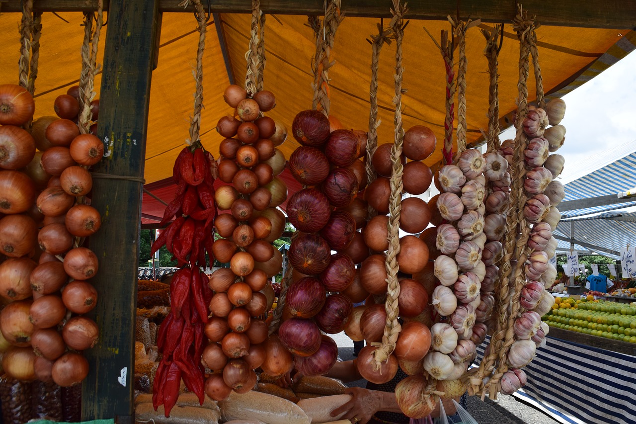 sao paulo  onions  market free photo